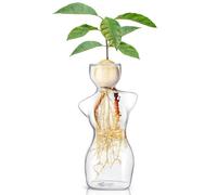Werwing Vase d'avocat - Pot de fleurs moderne en verre pour germination des graines, décoration d'intérieur, terrarium - Récipient de culture d'eau borosilicate