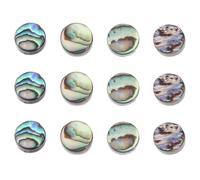 WESIEVYA 12 repères de frettes en nacre d'ormeau naturel - Incrustations de 6 mm pour touche - Marqueurs de touche pour guitare, ukulélé, basse, banjo - Idéal pour le réglage et