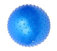 WESIEVYA Ballon de Yoga Grossesse 55 Cm Bleu Balle de Naissance Surface Texturée Ballon d'exercice pour Soulagement Musculaire Fitness Prénatal Intérieur