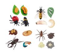 WESIEVYA Modèles Éducatifs du Cycle De Croissance des Animaux pour Garçon Et Filles - 4 Pièces en Plastique Solide - Jouets Pédagogiques De Simulation pour Apprentissage Scientifique