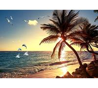 Wesmilewallpaper Papier Peint 3D Intissé Murales Beau Coucher De Soleil Mer Dauphin De Cocotier Papier Peint Panoramique Tapisserie Peinture Géant Poster Photo 350x245cm