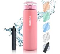 Wessper Gourde filtrante en verre borosilicate - 680 ml - Sans BPA - Avec filtre pour boissons gazeuses - Bouteille filtrante d'extérieur - Avec paille à charbon actif - Rose
