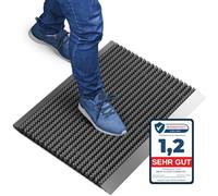Paillasson extérieur en Aluminium avec brosses Gris, paillasson 40 x 60 cm, en Aluminium, Tapis extérieur, Gratte-Chaussures, entrée de Maison, Tapis de Brosse, Tapis extérieur, paillasson