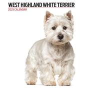 West Highland Calendrier moderne 2025 Blanc