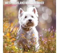 West Highland Calendrier traditionnel 2025 Blanc