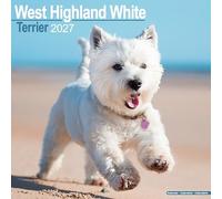 West Highland Terrier 2027 Calendar | Square Wall Calendar | Dog Breed Gift | Plastic Free Packaging | by Avonside Publishing