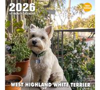 West Highland White Terrier 2026 Calendar: Bright and spunky little white terriers