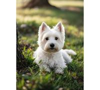 West Highland White Terrier Kit de peinture diamant 5D avec perles rondes par numéros pour décoration murale de salon, maison, 30 x 40 cm