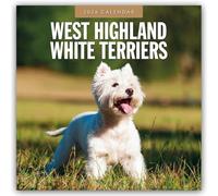 West Highland White Terriers 2026 Square Wall Calendar
