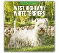 West Highland White Terriers 2027 Square Wall Calendar