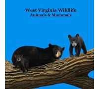 West Virginia Animals and Mammals Kids Wildlife Book: Great Wildlife Book about Animals and Mammals in West Virginia