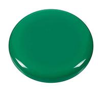 Westcott E-10821 00 Lot de 10 aimants ronds Vert 30 mm Petit format