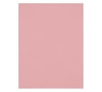 Westcott - Toile de fond infroissable X-Drop - Blush Pink (5' x 7')