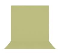 Westcott - Toile de fond infroissable X-Drop - Light Green Moss (8' x 13')