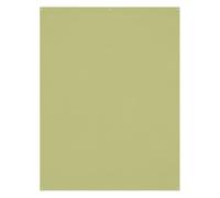 Westcott - Toile de fond infroissable X-Drop - Light Moss Green (5' x 7')