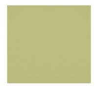 Westcott - Toile de fond infroissable X-Drop - Light Moss Green (8' x 8')