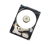 Western Digital Endurastar J4K320 HDD 100GB 2.5" SATA 4200 RPM, 8MB Cache, 5V, -30°C à 85°C, Résistance Chocs 300G (Fonctionnement)