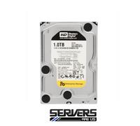 Western Digital RE4 SATA 1TB Interne 7200RPM 8.9cm WD1003FBYX HDD