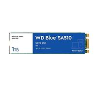 Western Digital WD Blue SA510 M.2 SSD 1To