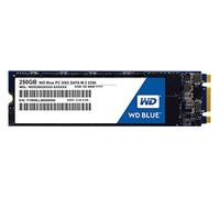 Western Digital WD Blue SSD interne M.2 250 Go - SATA 6 Gbit/s 2,5"