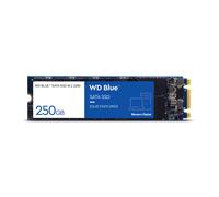 Western Digital WD Blue(TM) SATA - 250GB Solid State Drive - WDS250G2B0B-00YS70