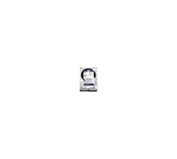Western Digital WD60PURZ WD Purple 6 To - Disque dur 24x7 pour surveillance vidéo