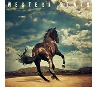 Western Stars Vinyle