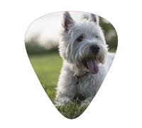 Westie Lawn West Highland White Terrier Chiens,Lot de 12 médiators de guitare, 3 épaisseurs différentes pour guitare acoustique, basse, ukulélé
