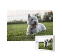 Westie Lawn West Highland White Terrier Chiens,Puzzle Familial en Bois de 300 pièces pour Adultes et Adolescents, décoration d'intérieur