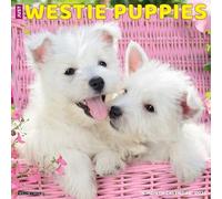 Just Westie Puppies 2025 12 X 12 Wall Calendar