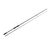 Westin Canne Spinning W2 Powershad