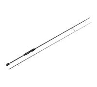 Westin Canne Spinning W2 Streetstick