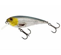 Westin RawBite Crankbait 17cm 100g Low Flottant Leurre NOUVELLES COULEURS