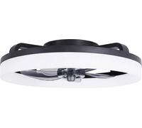 Westinghouse Ventilateur de plafond 20 W (Ø x H) 500 mm x 165 mm noir minuteur, avec télécommande, avec éclairage, pale