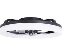 Westinghouse Ventilateur de plafond 20 W (Ø x H) 500 mm x 165 mm noir minuteur, avec télécommande, avec éclairage, pales réversibles, avec lumières dambiance