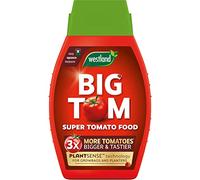 Westland Big Tom Nourriture pour tomates 1L