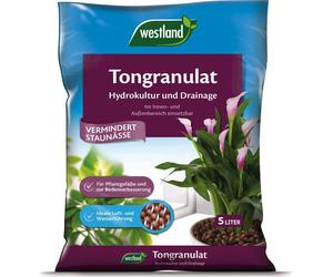 Westland Billes d'Argile - 5 L