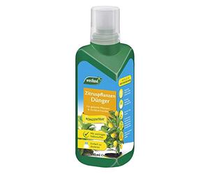 Westland Engrais spécial Agrumes, 500 ML - Engrais pour Une Croissance Saine et des Fruits généreux, Engrais Liquide avec Dispositif de Dosage