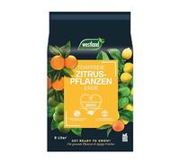 Westland terreau pour Agrumes, 8 l - Terreau avec granulés d’Argile spécial citronniers, pour Une Distribution en Eau et nutriments idéale