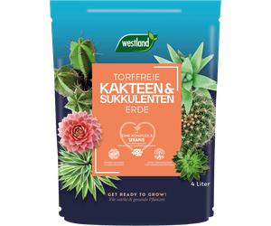 Westland Terreau pour Cactus & Plantes Succulentes TF - 4 L