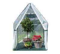 WESTMANN Piment Tente d'hivernage | 120 x 120 x 180 cm Blanc | Protection des plantes & serre en film pour l'hivernage des plantes