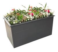 WESTMANN Primus L Jardinière surélevée en métal avec protection anti-limaces Anthracite 150 x 75 x 77 cm