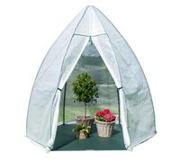 WESTMANN Tente d'hivernage avocat - 250 x 250 x 250 cm - Protection des plantes et serre en film plastique pour l'hiver des plantes