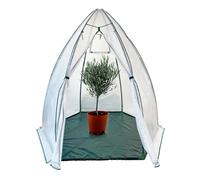WESTMANN Tente d'hivernage menthe | 200 x 200 x 200 cm Blanc | Protection des plantes et serre en film pour l'hivernage des plantes