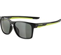 Westmark Fixation Murale pour vélo, Matériel de Fixation Inclus, Plastique, Noir/Argenté, 5402GE60