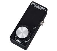 Westminster Effects Westminster Effects Micro Expression TS