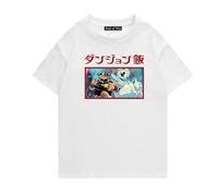 westtrend Delicious in Dungeon T-Shirt Anime Print Loose Casual Oversize Top Harajuku Style Short Sleeve Anime Fan T-Shirt