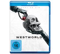 Westworld - Staffel 4 [Blu-ray] (Blu-ray) Wood Evan Rachel Paul Aaron Newton Ed