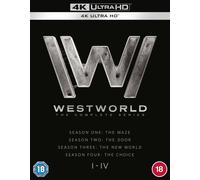 Westworld – Evan Rachel Wood – Blu-ray 4K Ultra HD – Intégrale (2022)