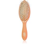 Wet Brush Go Green Treatment And Shine brosse pour des cheveux brillants et doux Coconut Oil
